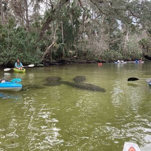 Meet your Posher, Trisha